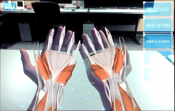 anARtomy_6