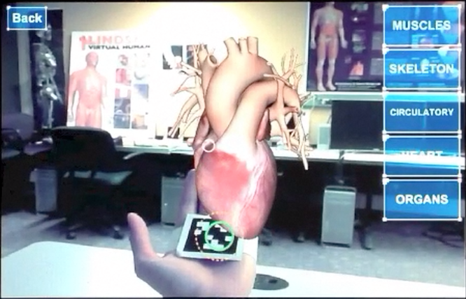 anARtomy_9